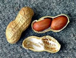 Peanut (Groundnut)