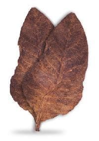 Black Chopadiya Tobacco
