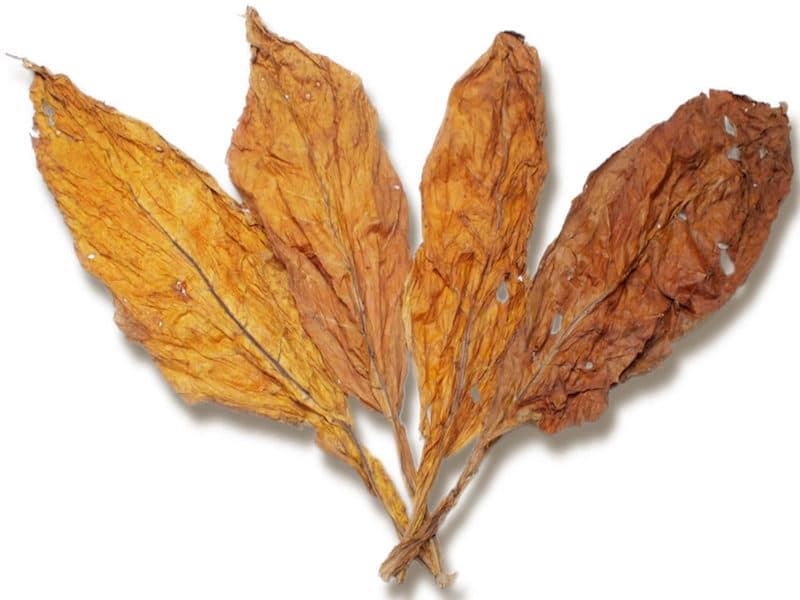 Tobacco Raw Materials