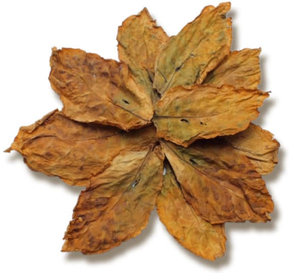 Oriental (Turkish Type) Tobacco