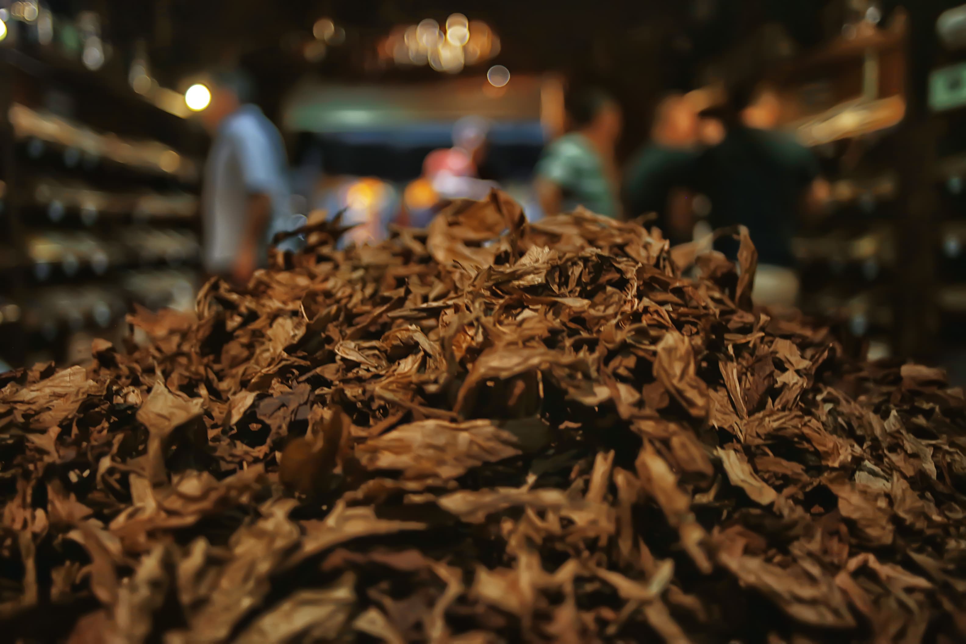 Tobacco Stems / Midrib