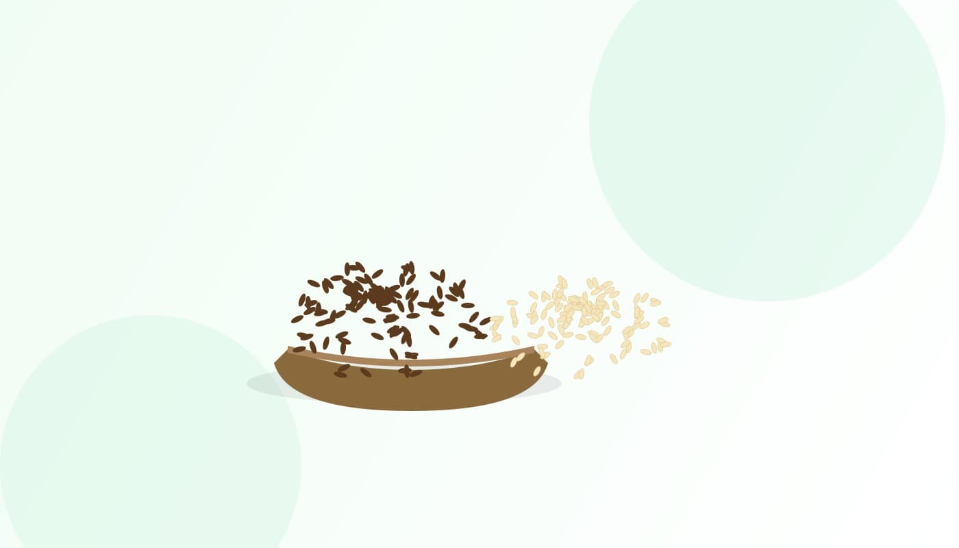Why Every Spices Exporter in India Is Talking About Cumin and Sesame Right Now