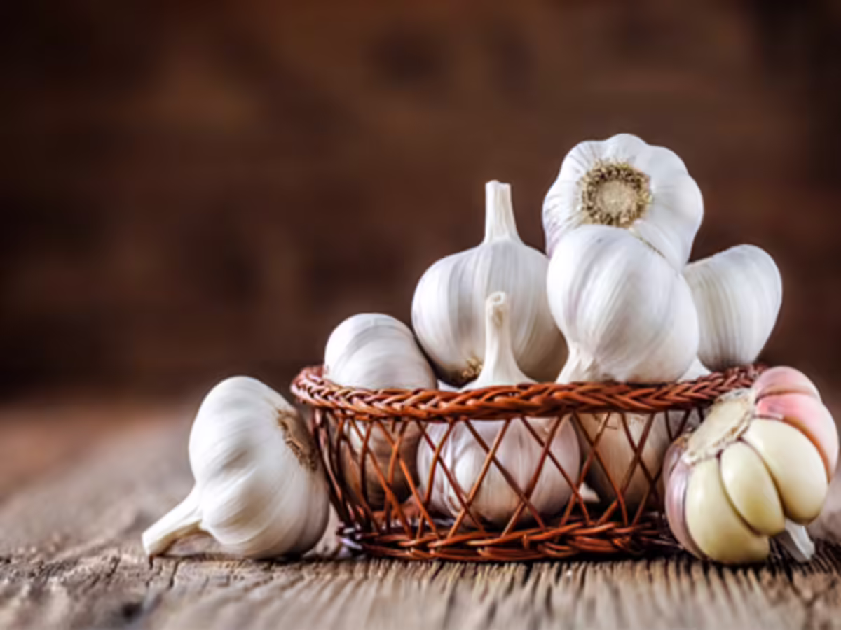 Indian Garlic Export