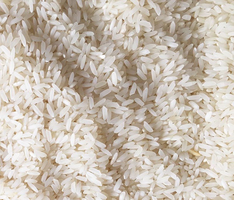 Indian Non-Basmati Rice Export